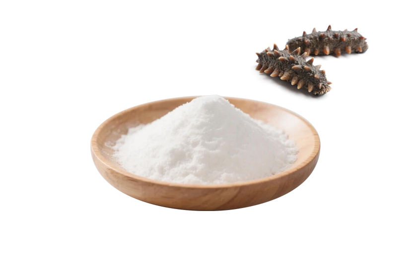 Sea Cucumber Peptide